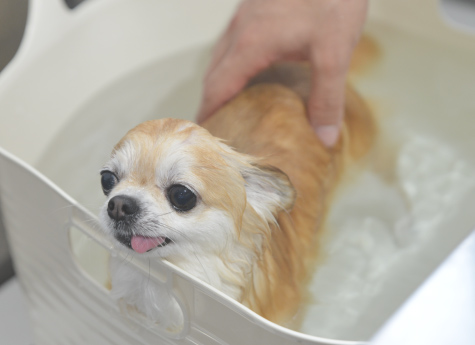 スキンケアのお風呂