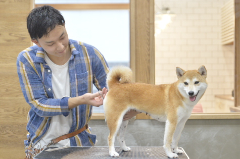 トリミング シャンプーコース